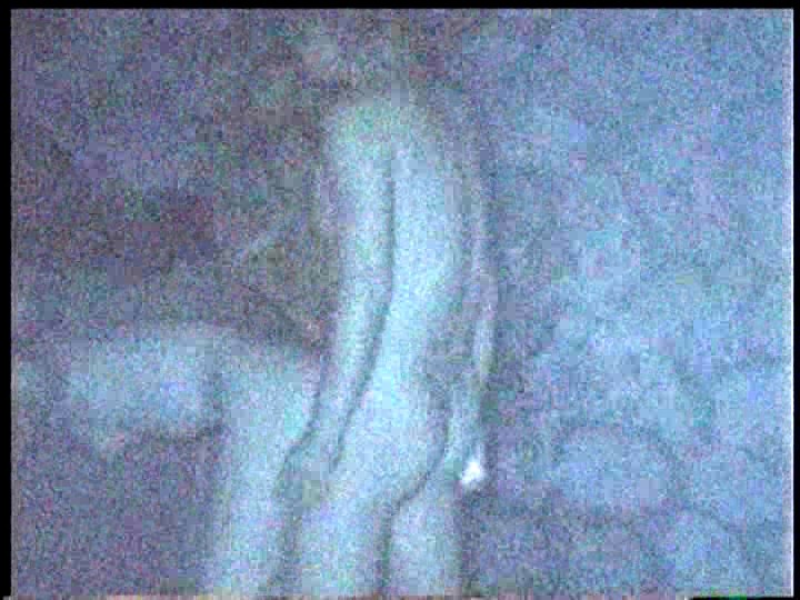 誰にも見られていないと思ってカーセックスをしているカップルをご覧下さいｗｗｗ