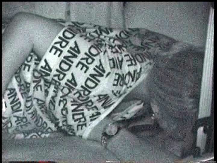 車内で脱衣、口淫、乳揉など不順異性交遊をしているところをご覧下さいｗｗｗ