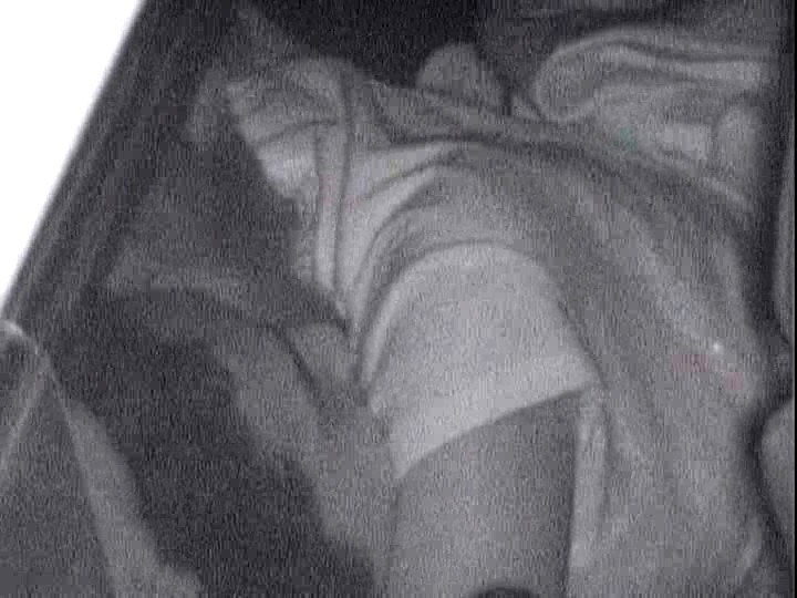 車内で脱衣、口淫、乳揉など不順異性交遊をしているところをご覧下さいｗｗｗ